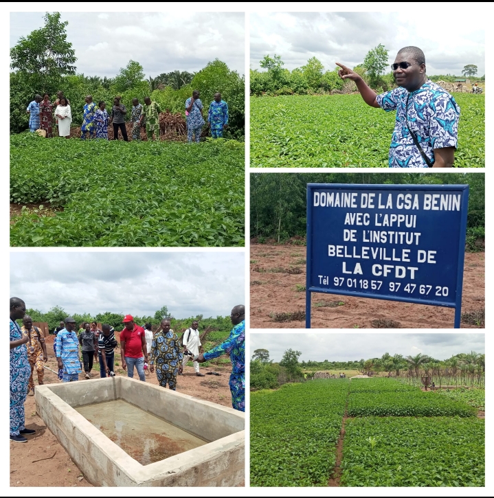 Site maraîchage/Projet « Renforcement des capacités des travailleurs maraîchers affiliés au Synamab » : Le BEN de la CSA-BENIN s’enquiert de l’évolution des travaux Le SG Anselme Amoussou et le Synamab pour la réussite de l’initiative soutenue par l’Institut Belleville