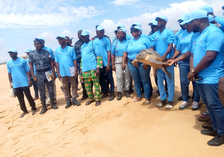 Travaux de la corniche Est de Cotonou : Sogea Satom et Nature Tropicale ONG pour la préservation des tortues marines